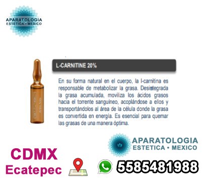 l carnitina quita el sueño Qué es y para qué sirve la L-carnitina? main image 1