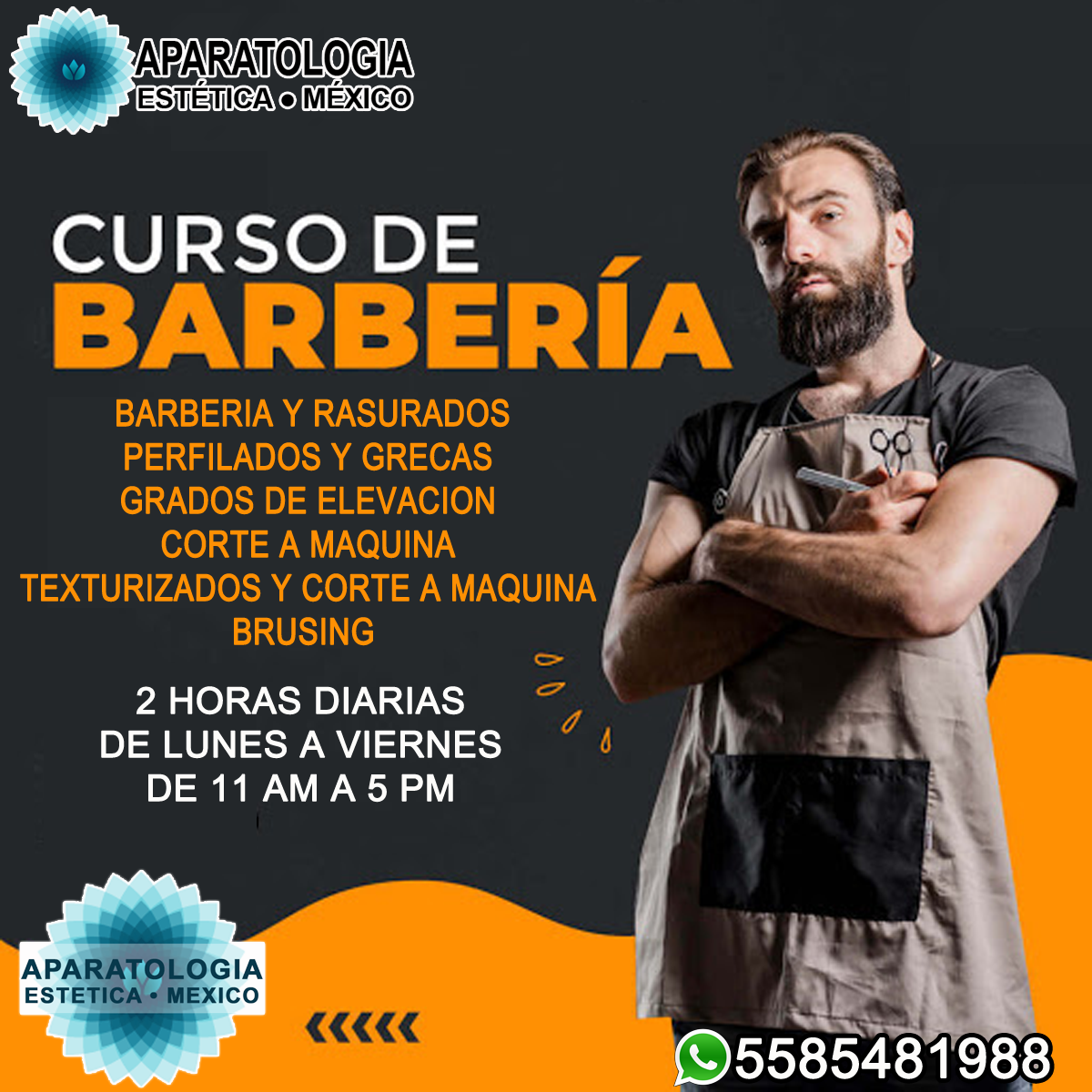 motor ratón eximir Curso intensivo de barberia - Aparatologia Estética México