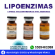 PBSerum Lipo Ezimas Colagenasa Lipasa Hialuronidasa