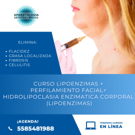 CURSO LIPOENZIMAS + PERFILAMIENTO FACIAL+ HIDROLIPOCLASIA ENZIMATICA CORPORAL (lipoenzimas)