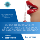 CURSO DE RUSSIAN LIPS O TECNICA RUSA