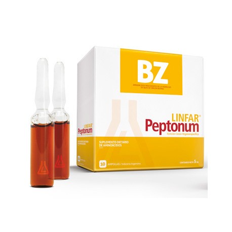 BZ