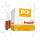 PCR