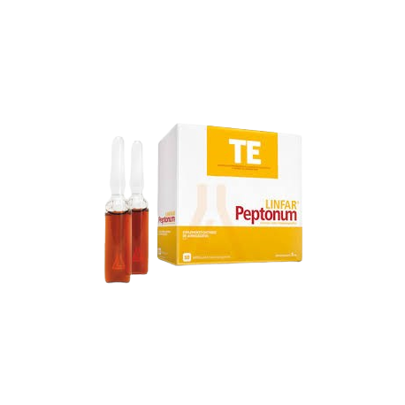 TE